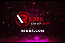 RED88 – Nhà cái cá cược trực tuyến uy tín 100%  – Link vào RED88 an toàn nhất 2024