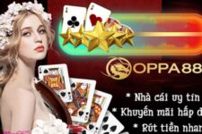 Oppa888 – Đánh giá chi tiết về các sản phẩm cá cược tại nhà cái