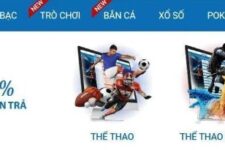 CMD368 – Review chi tiết Nhà cái cá cược thể thao