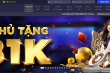 7Ball – Review từ A Tới Z Nhà Cái Cá Cược – Update 3/2023