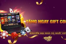 NhatVip Giftcode – Tuyệt chiêu săn quà cực Hot và chất lượng 